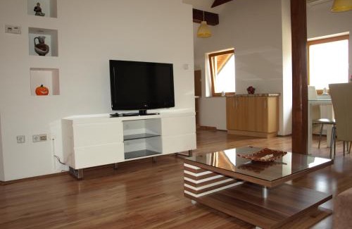 Ptuj Apartment | Apartment VISOTA