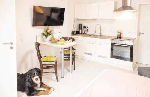 Willingshausen Apartment | Apartment Wasenberg