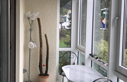 Westerburg Apartment | Apartment Wintergarten - Apartment with 2 bedrooms, bathroom with shower+toilet, winter garden