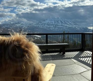 Atra Apartment | Apartment with a fantastic view to Gaustatoppen