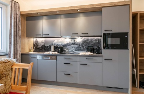 Haus im Ennstal Apartment | Apartment with a private sauna and a balcony
