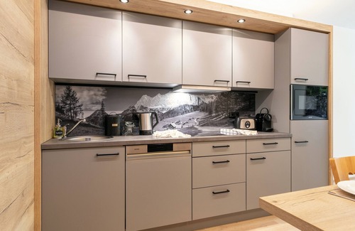 Haus im Ennstal Apartment | Apartment with a sauna and a large terrace