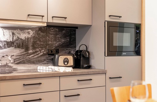 Haus im Ennstal Apartment | Apartment with a sauna and a large terrace