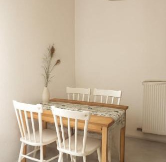 Brno-stred Apartment | Apartment with Balcony Brno city center