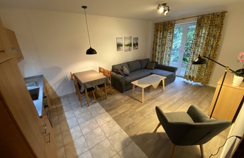 Bad Zwischenahn Apartment | Apartment with terrace and private sauna