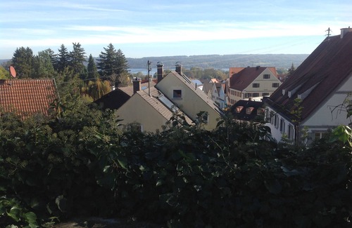Diessen am Ammersee Apartment | Apartment with kitchen and partly covered terrace. Central and quiet