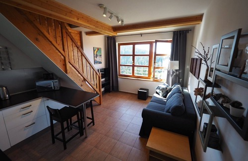 Cerny Dul Apartment | Apartment with Mountain View