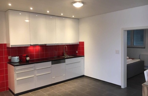 Rorschach Apartment | Apartment with shower - washing machine - 180 degree lake view