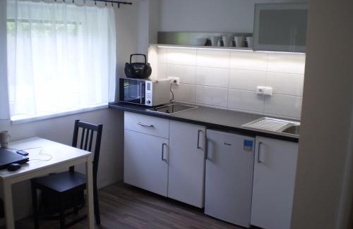 Belkovice-Lastany Apartment | Apartment Za Poštou