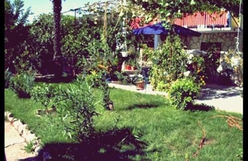Murter Apartment | Apartment Zena