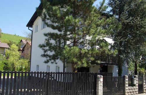 Kamnica Apartment | Apartment Zupan