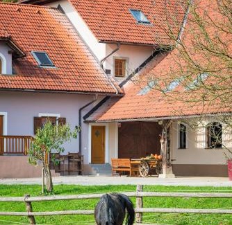 Ivancna Gorica Apartment | APARTMENT ZYNGA - STUD FARM
