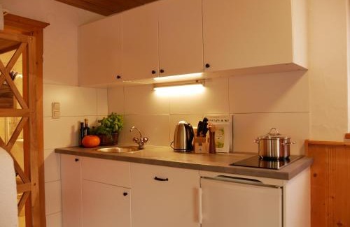 Kirchberg in Tirol Apartment | Apartmenthaus Thussn, cozy & quiet location, hiking & MTB,