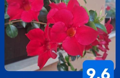 Radenci Apartment | Apartments AD Radenci