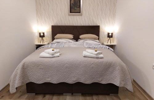 Celje Apartment | Apartments Alexandra