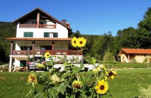 Vranovaca Apartment | Apartments and Room Robert