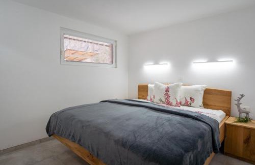 Trenta Apartment | Apartments and rooms Nataša 2