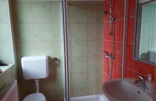 Gozd Martuljek House | Apartments and Rooms Martuljk