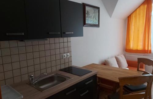 Gozd Martuljek House | Apartments and Rooms Martuljk