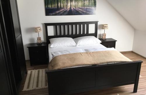 Cerklje na Gorenjskem Apartment | Apartments Avio