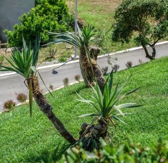 Gjerana Apartment | Apartments Bazar