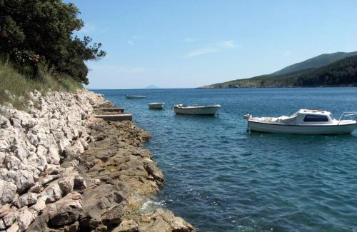 Duga Luka Apartment | Apartments by the sea Duga Luka - Prtlog, Labin - 2367