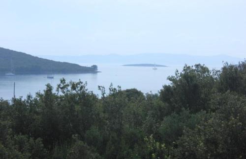 Muline Apartment | Apartments by the sea Muline, Ugljan - 8520
