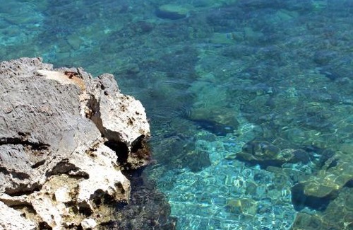 Medveja Apartment | Apartments by the sea Medveja, Opatija - 7722