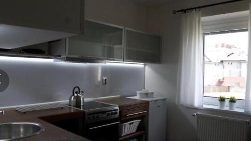 Roznov Pod Radhostem Apartment | Apartments Centrum