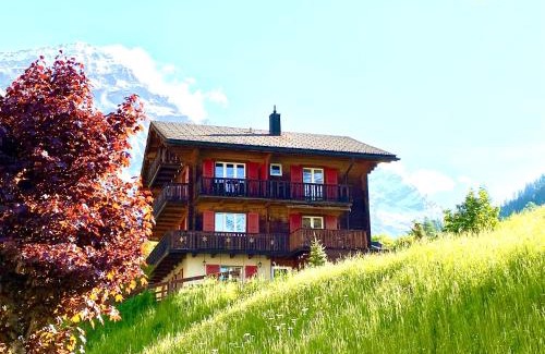Leukerbad Apartment | Apartments Chalet Tatyana