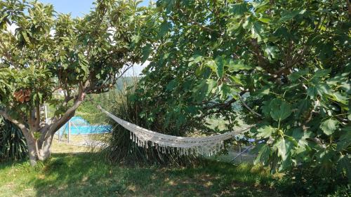 Piran Apartment | Apartments Cipresa