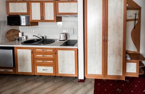 Ivano-Frankovsk Apartment | Apartments Deluxe