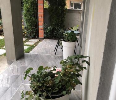 Bistrica Apartment | Apartments Dunja