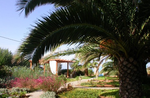 Trifylia Apartment | Apartments for 4 -5 people/romantic palm garden - right on the sea