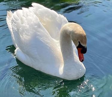 Otocac Apartment | Apartments Gacka Valley