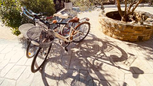 Seca Apartment | Apartments Gea