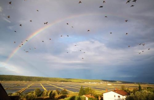 Seca Apartment | Apartments Gea