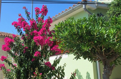 Cunski Apartment | Apartments Hajrudin, (14409), Ćunski, Croatia