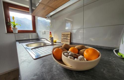 Bohinj Apartment | Apartments Irena
