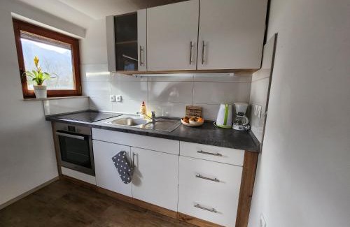 Bohinj Apartment | Apartments Irena