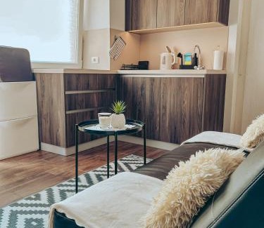 Idrija Apartment | Apartments Ivanović