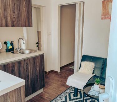 Idrija Apartment | Apartments Ivanović