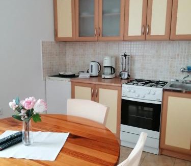 Catrnja Apartment | Apartments Jure