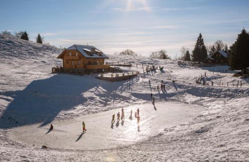 Ambroz pod Krvavcem Ski Chalet | Apartments Krvavec