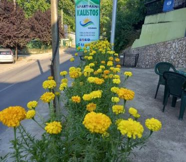 Star Dojran Apartment | Apartments Kalistos