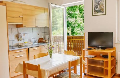 Studor Apartment | Apartments Kovačič