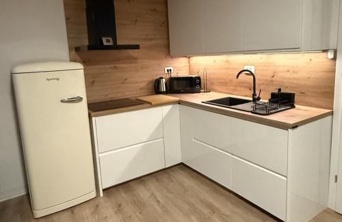 Kranj Apartment | Apartments KrAnJ - City Studio Katka
