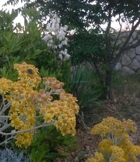 Kustici Apartment | Apartments Kuss