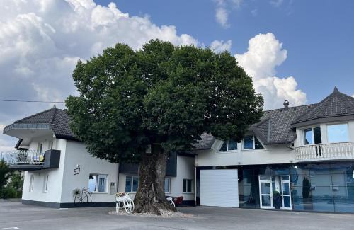 Kamnik Apartment | Apartments Linden Tree