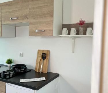 Kamnik Apartment | Apartments Linden Tree